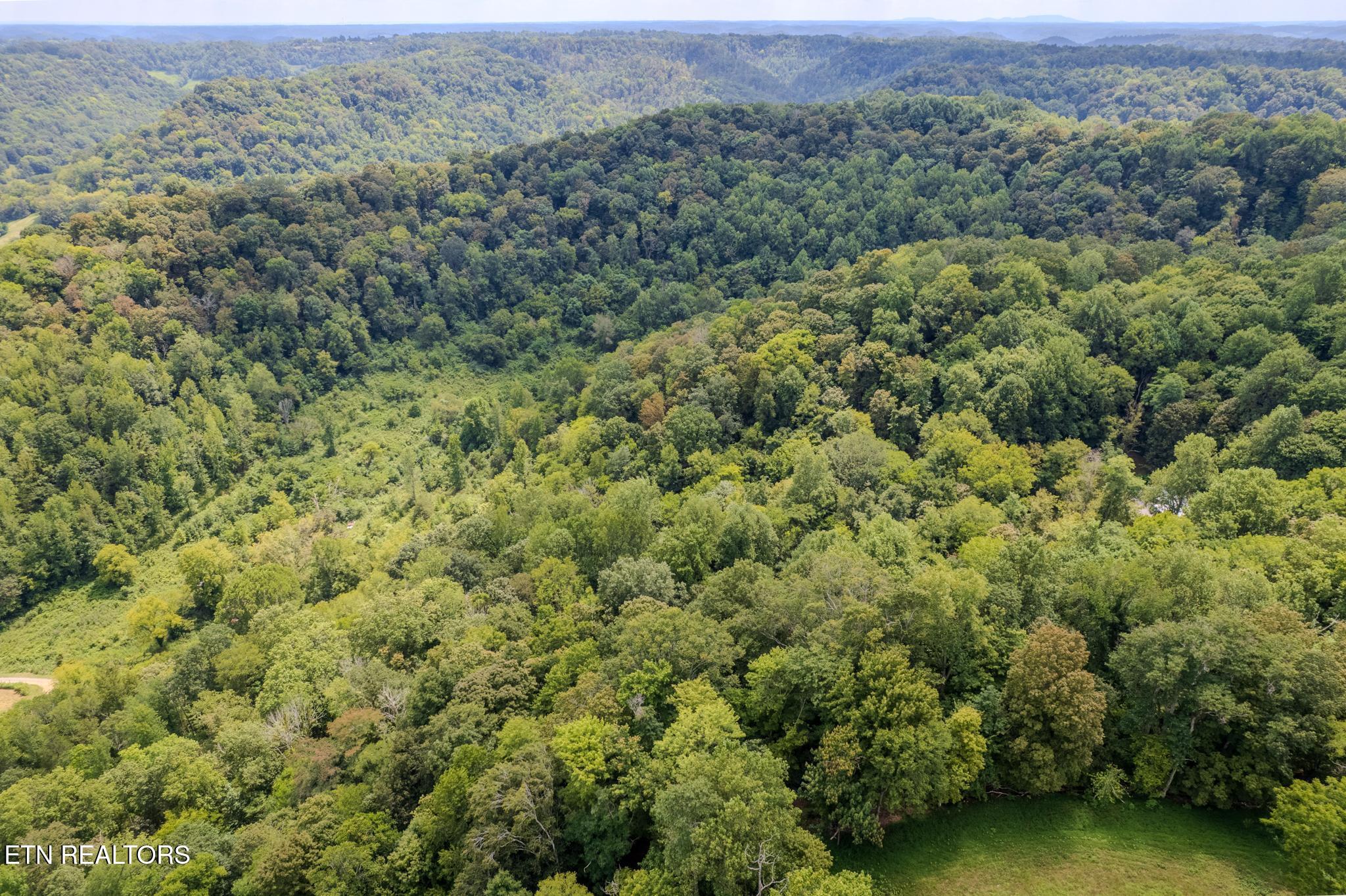 53.19-ac Watts Hollow Road Buffalo Valley, TN 38548 - Photo 6 of 19 Watts Hollow Rd-02.