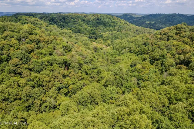 $374,900 | 53.19-ac Watts Hollow Road, Buffalo Valley, TN 38548