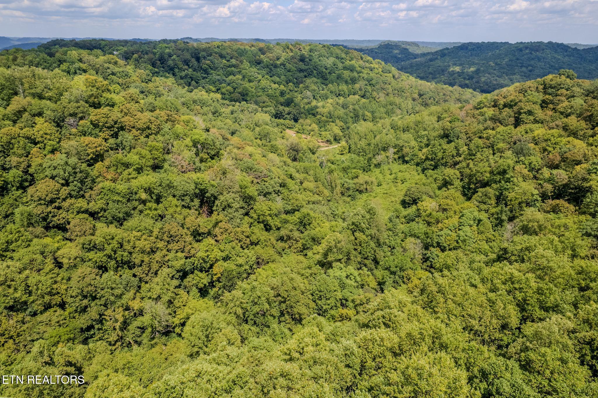 53.19-ac Watts Hollow Road Buffalo Valley, TN 38548 - Photo 7 of 19 Watts Hollow Rd-03.