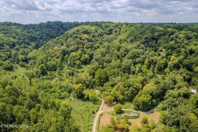 $374,900 | 53.19-ac Watts Hollow Road, Buffalo Valley, TN 38548