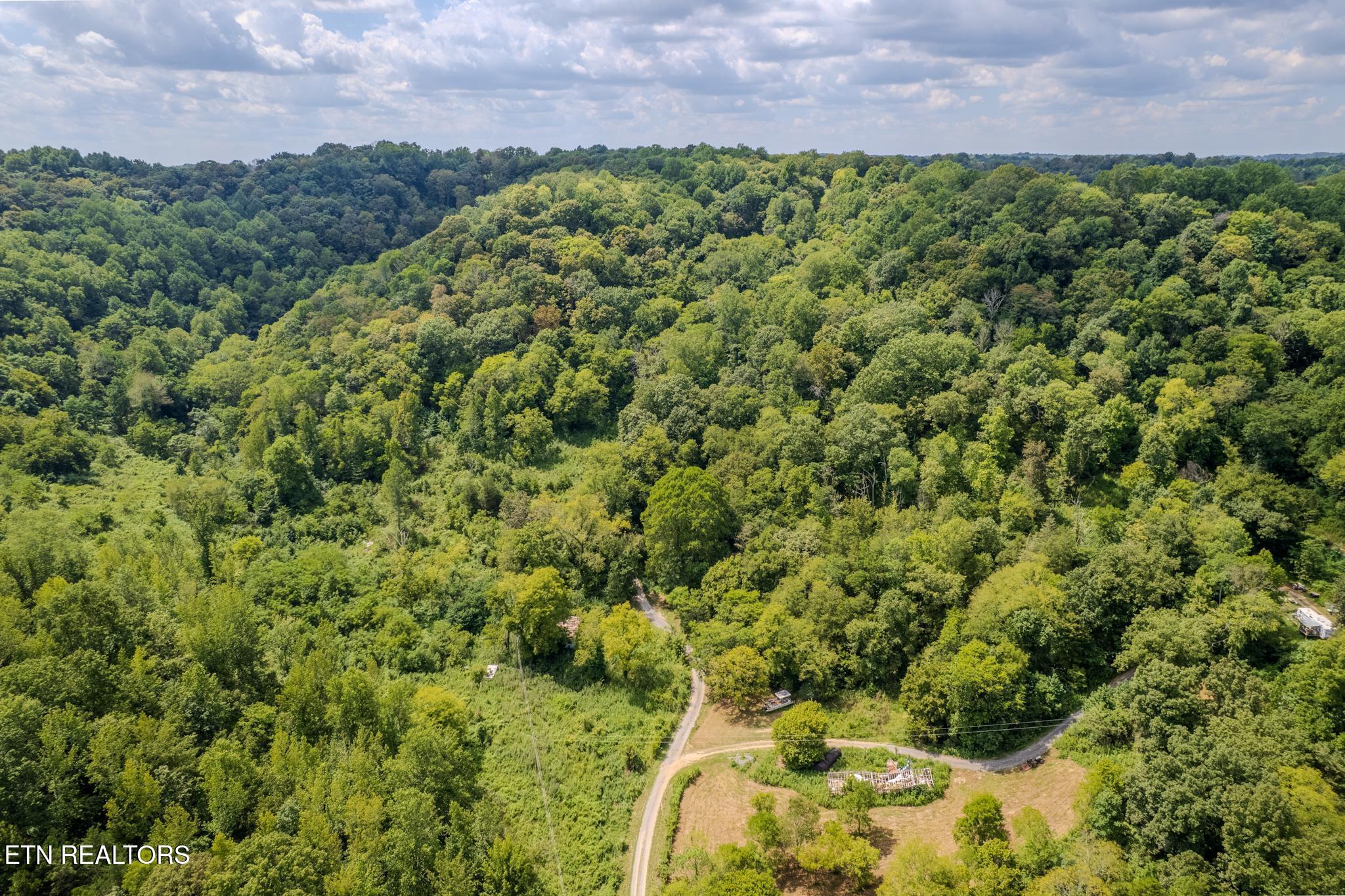 53.19-ac Watts Hollow Road Buffalo Valley, TN 38548 - Photo 8 of 19 Watts Hollow Rd-04.