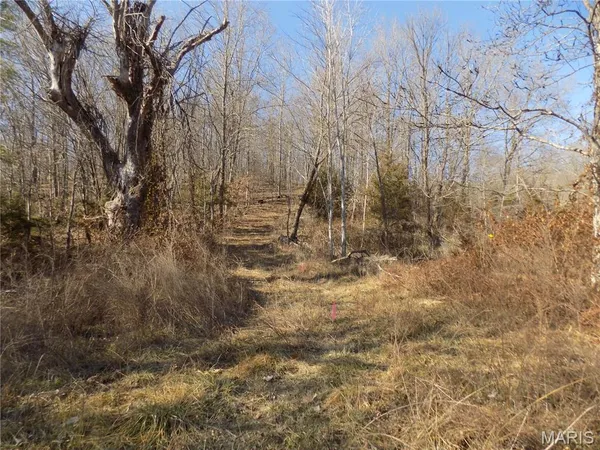 $91,000 | 38320 Highway 21, Lesterville, MO 63654
