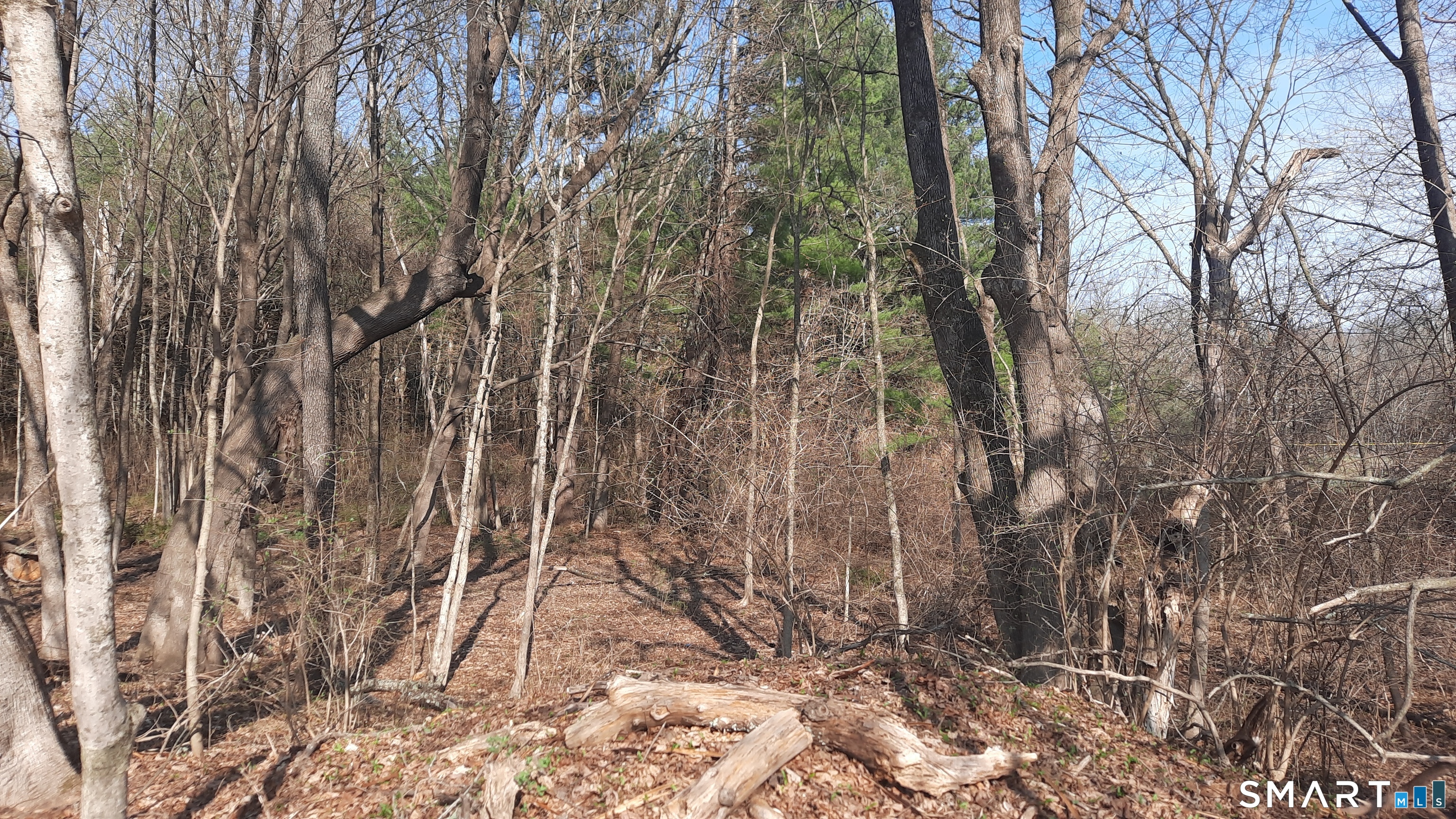 Wauregan Road Brooklyn, CT 06234 - Photo 2 of 3