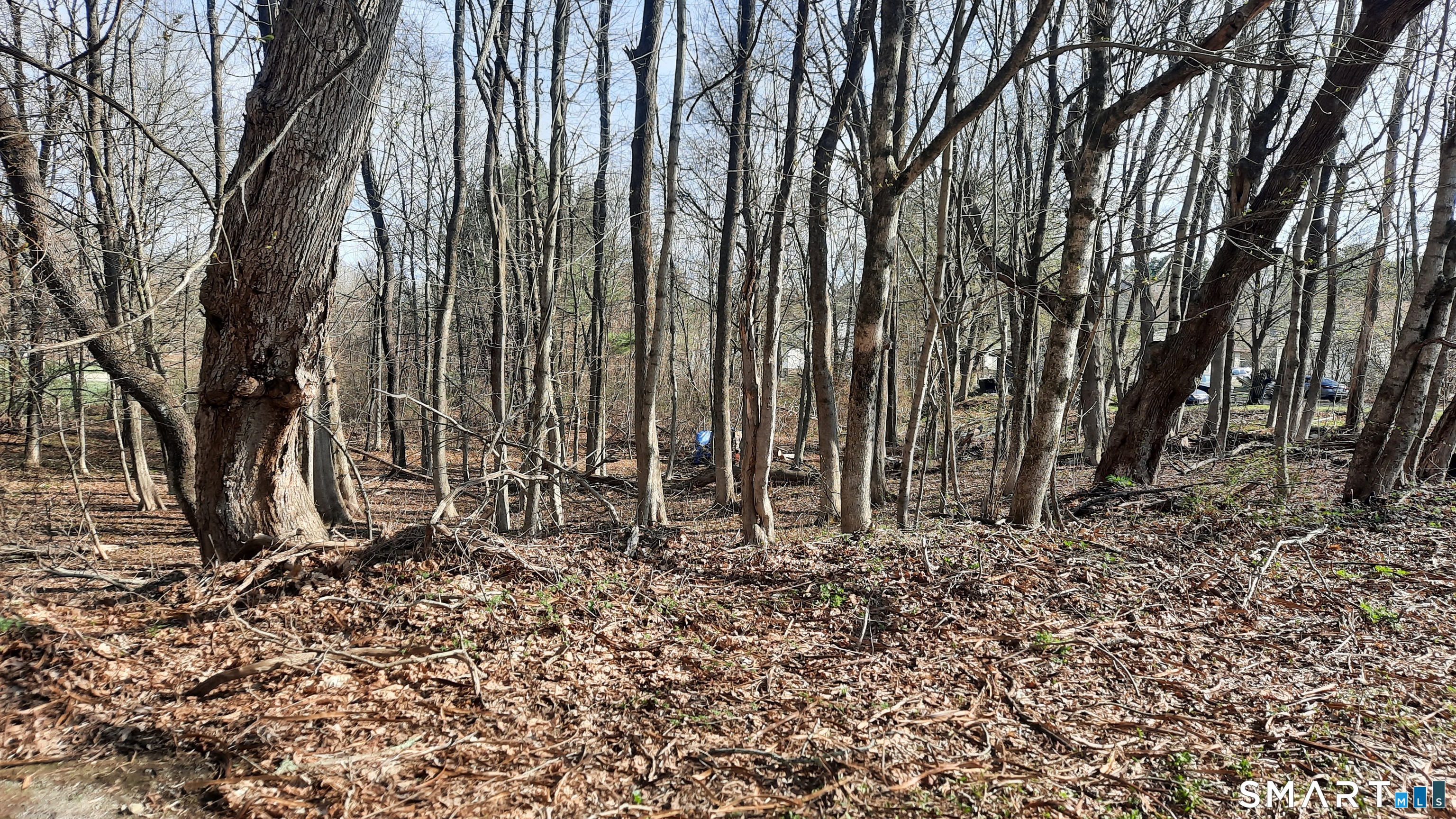 Wauregan Road Brooklyn, CT 06234 - Photo 3 of 3