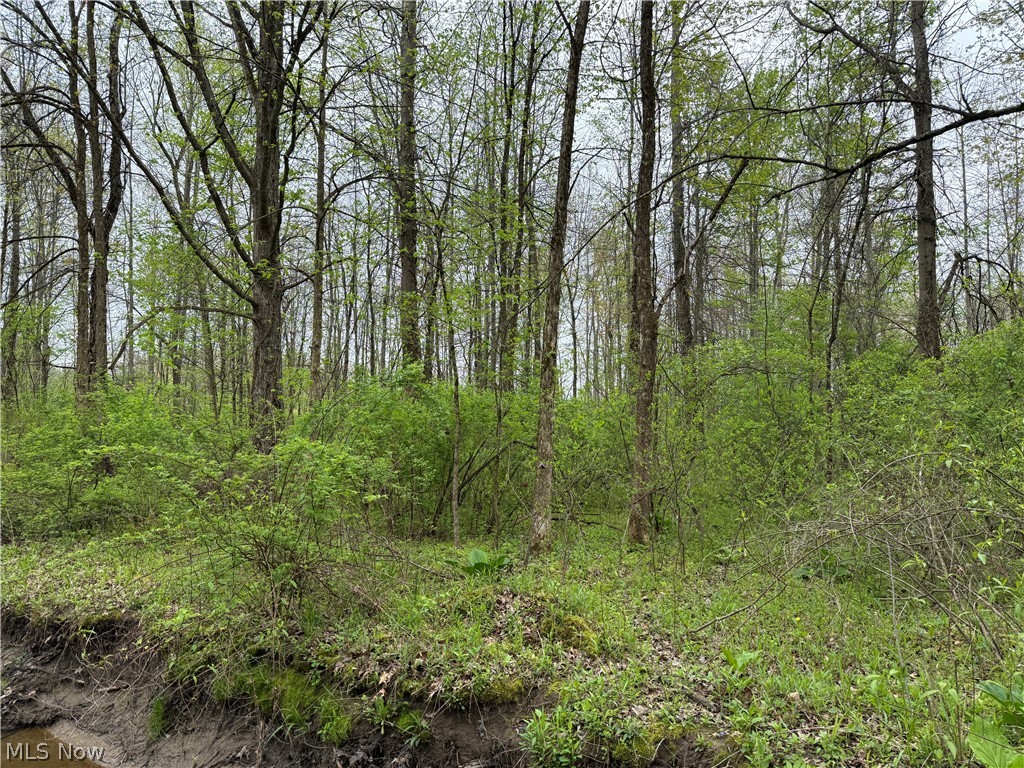 V/l Donley Road Middlefield, OH 44062 - Photo 18 of 30
