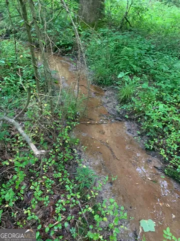 a view of a pathway both side of yard