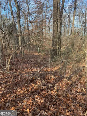 a view of a yard with a trees