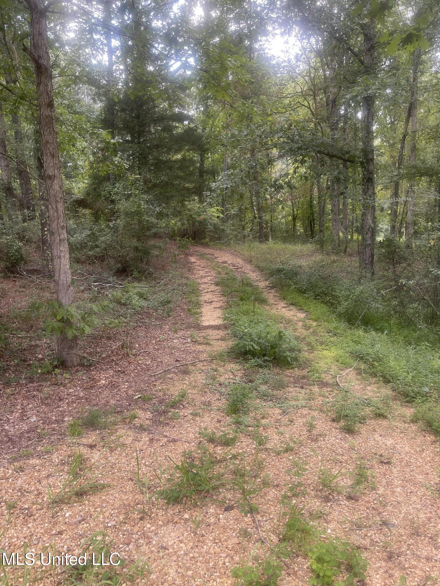 2092 Roberts Lane Wesson, MS 39191 - Photo 37 of 45 IMG_4031