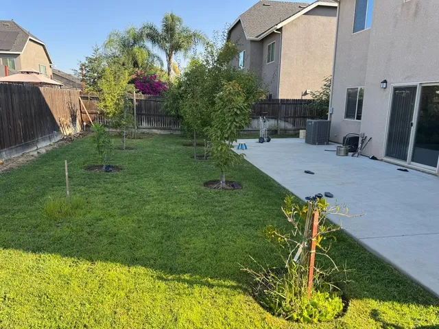 a view of a backyard with potted plants
