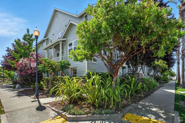a view of a garden with plants