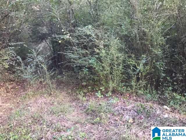 5577 Red Hollow Road, Unit 5 Birmingham, AL 35215 - Photo 9 of 12