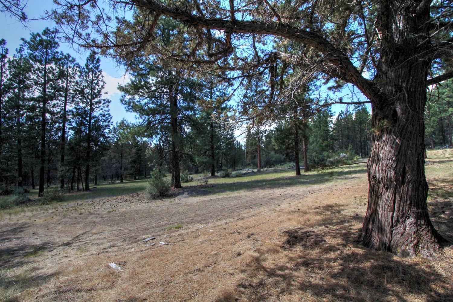 1050 Telephone Flat Road Chiloquin, OR 97624 - Photo 24 of 35 Additional Photo