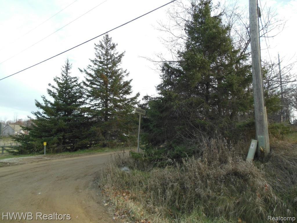 0 Baldwin Road Ortonville, MI 48462 - Photo 1 of 7 Baldwin Rd.