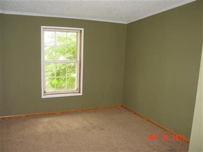 311 East Edgar Bergen Boulevard Decatur, MI 49045 - Photo 20 of 21 Additional Photo