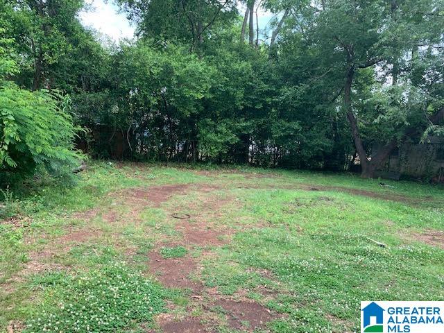 1225 18th Way Southwest Birmingham, AL 35211 - Photo 13 of 13