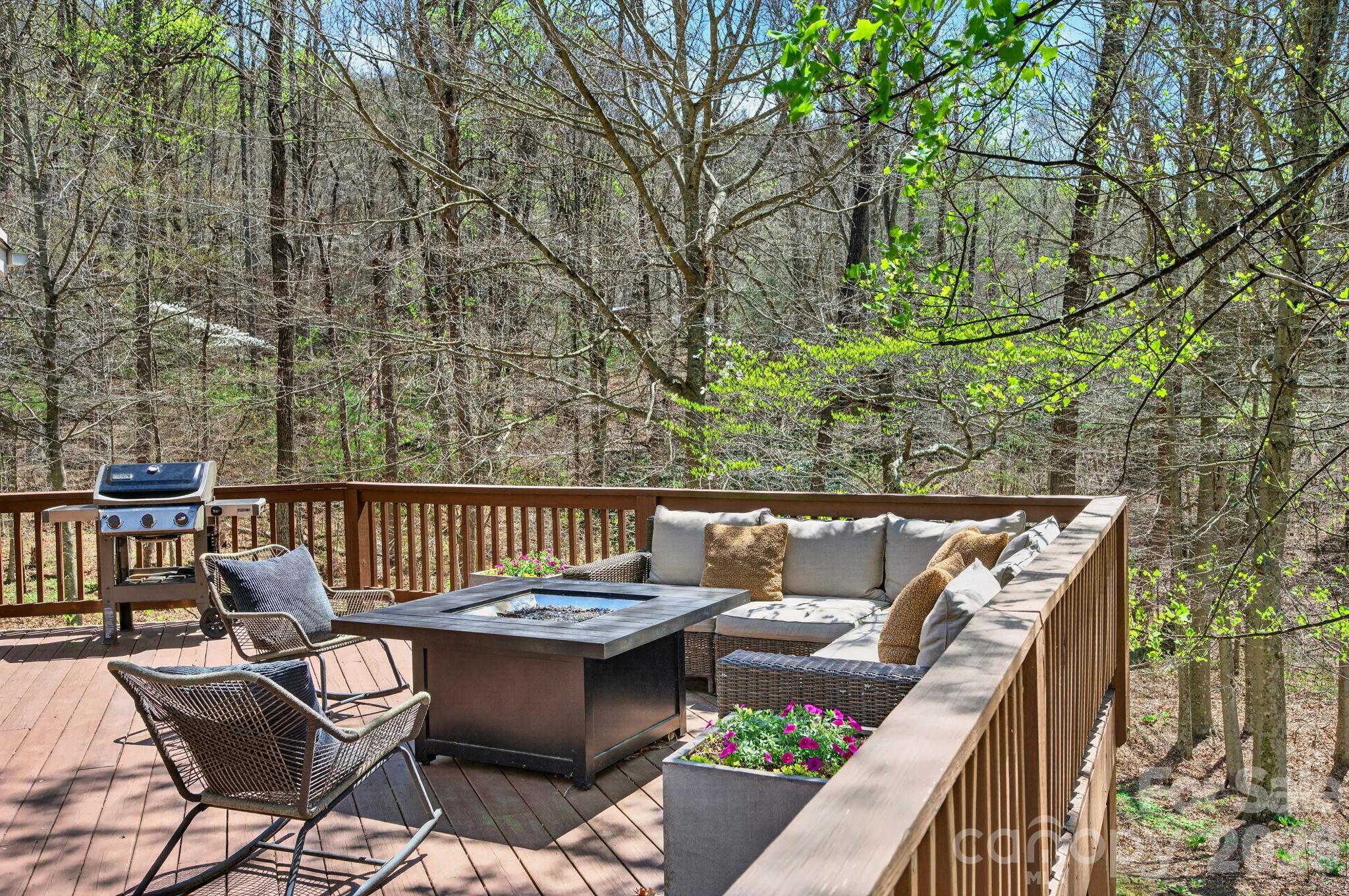 257 Jones Cove Road Asheville, NC 28805 - Photo 20 of 47