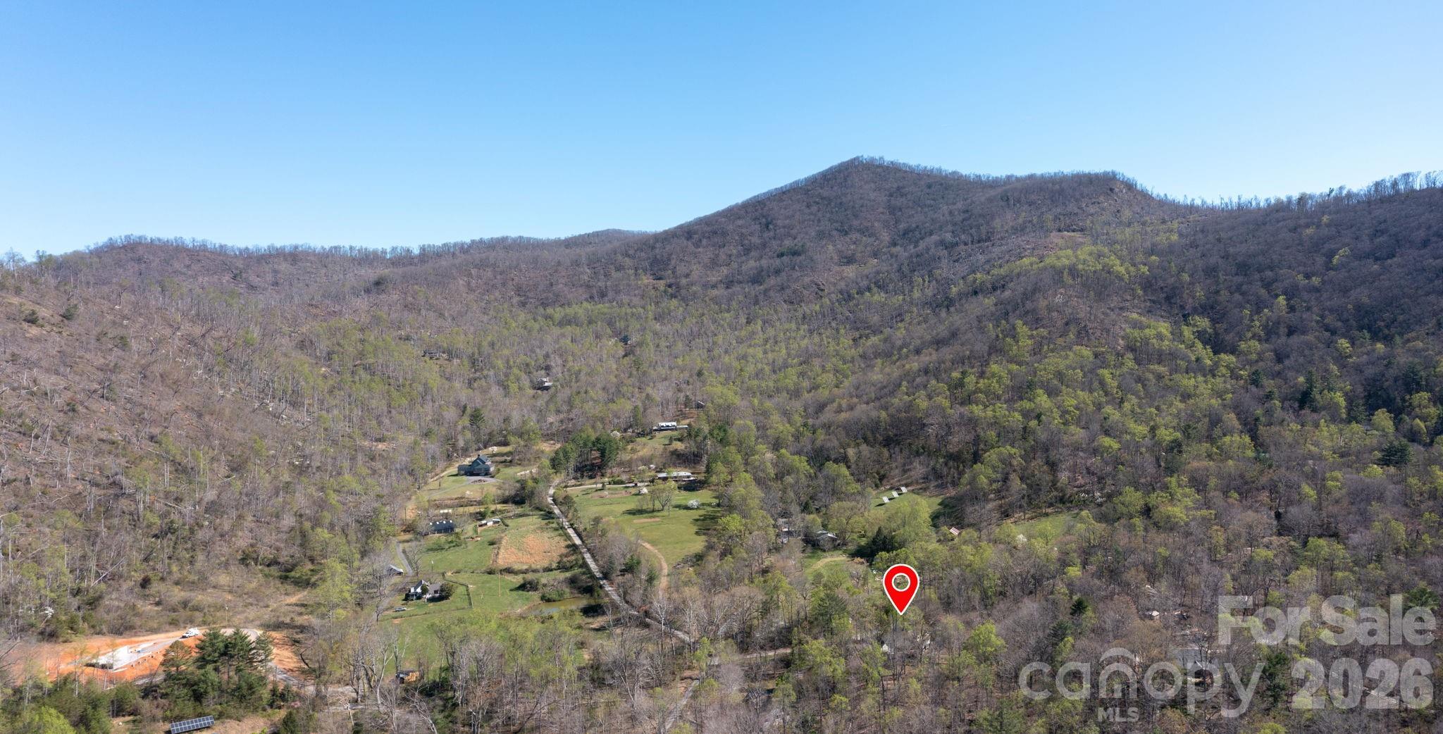 257 Jones Cove Road Asheville, NC 28805 - Photo 46 of 47