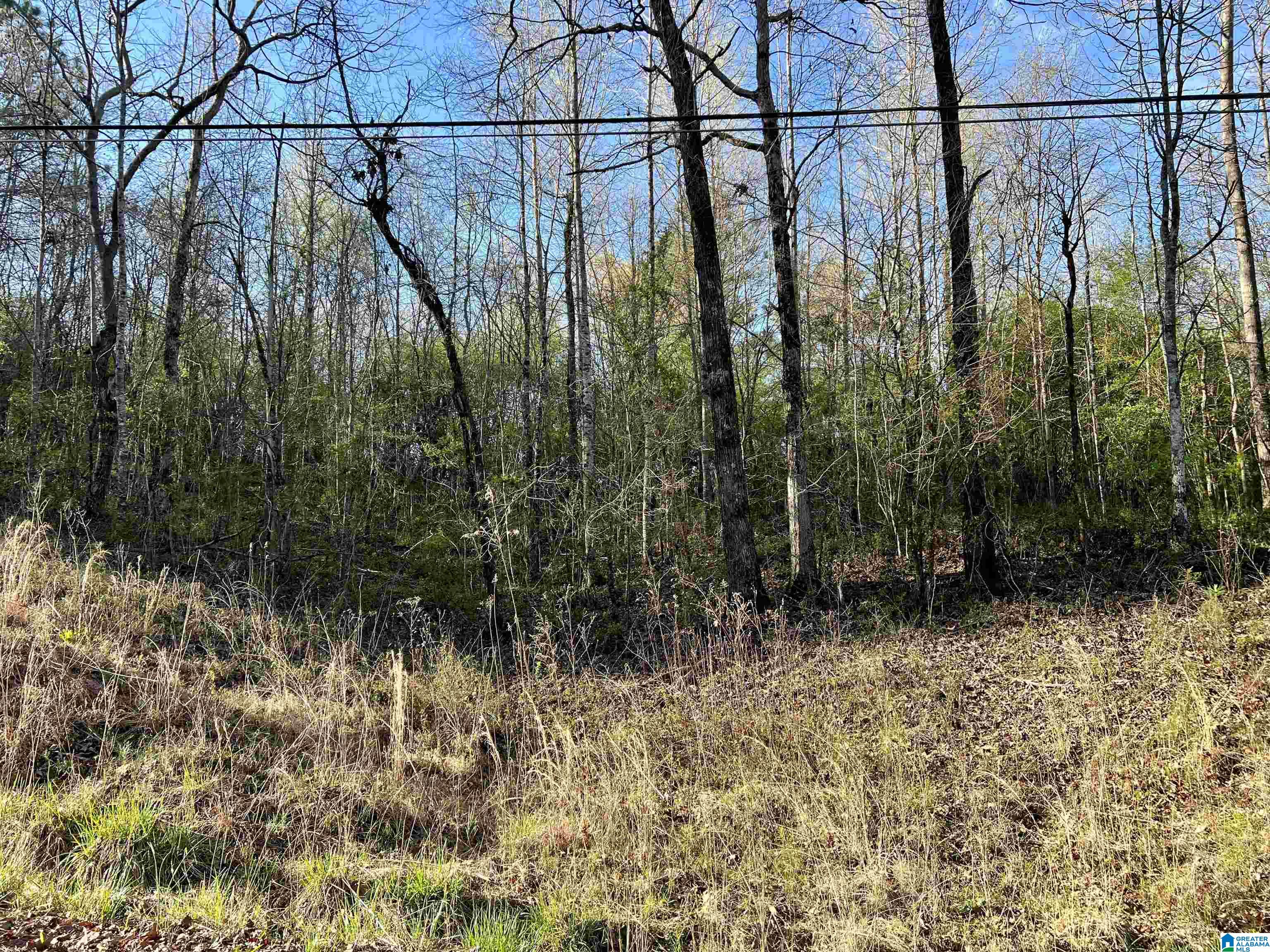 0 Lakeshore Lane, Unit 3 Oneonta, AL 35121 - Photo 11 of 21