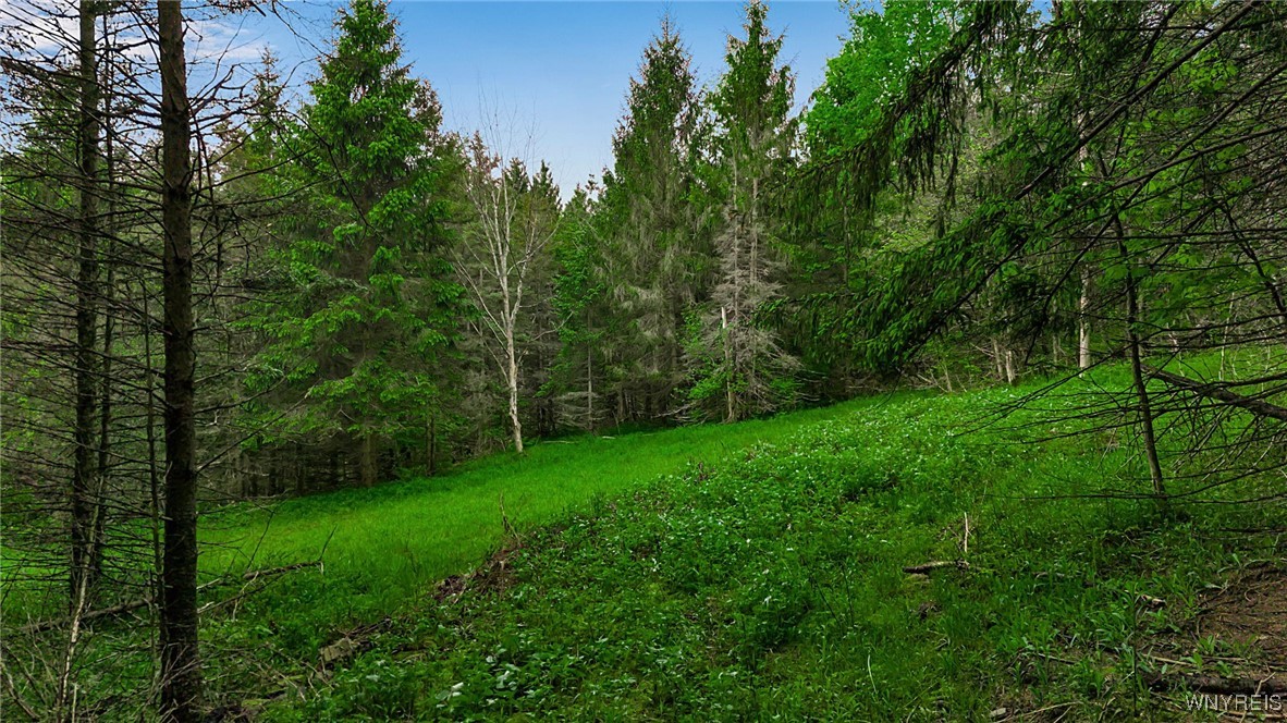 Vl Maples Road Little Valley, NY 14755 - Photo 6 of 12