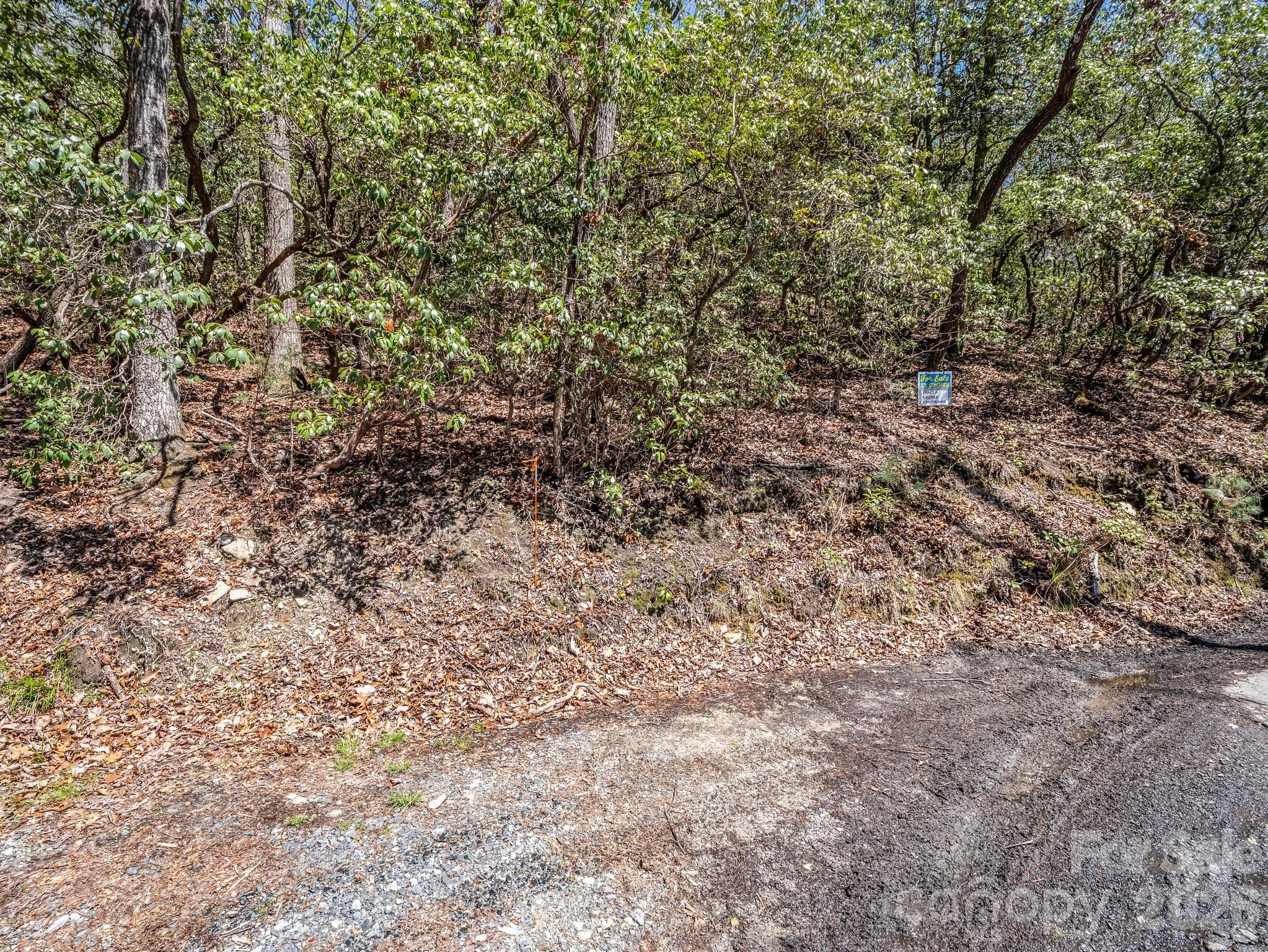 999 Bulling Creek Road Penrose, NC 28766 - Photo 11 of 37