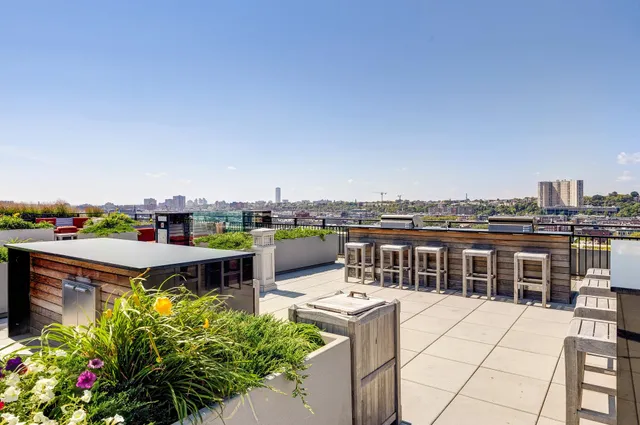 a view of a terrace with a bench