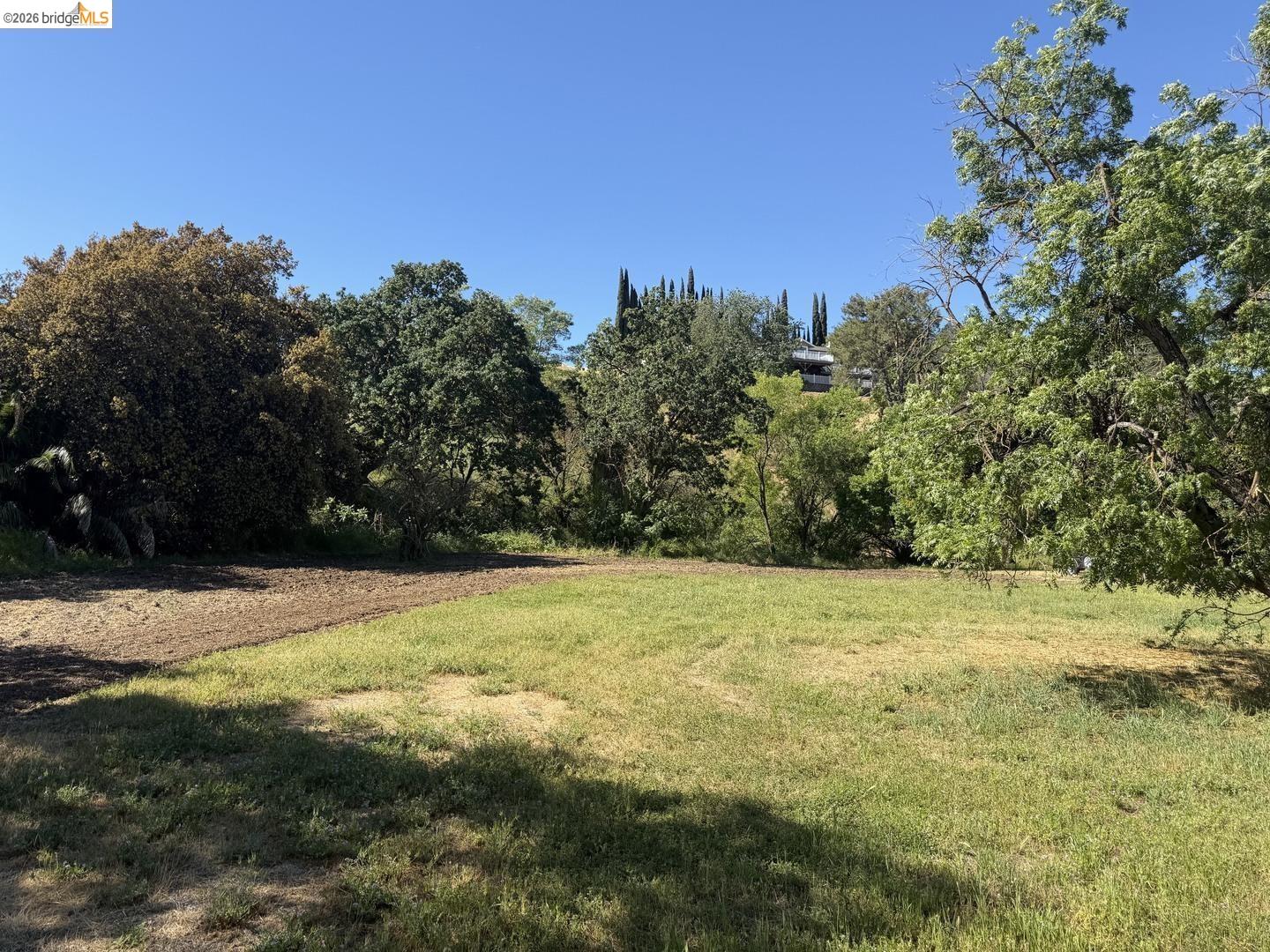 0 Cowell Road Concord, CA 94518 - Photo 4 of 13 view of grassy yard