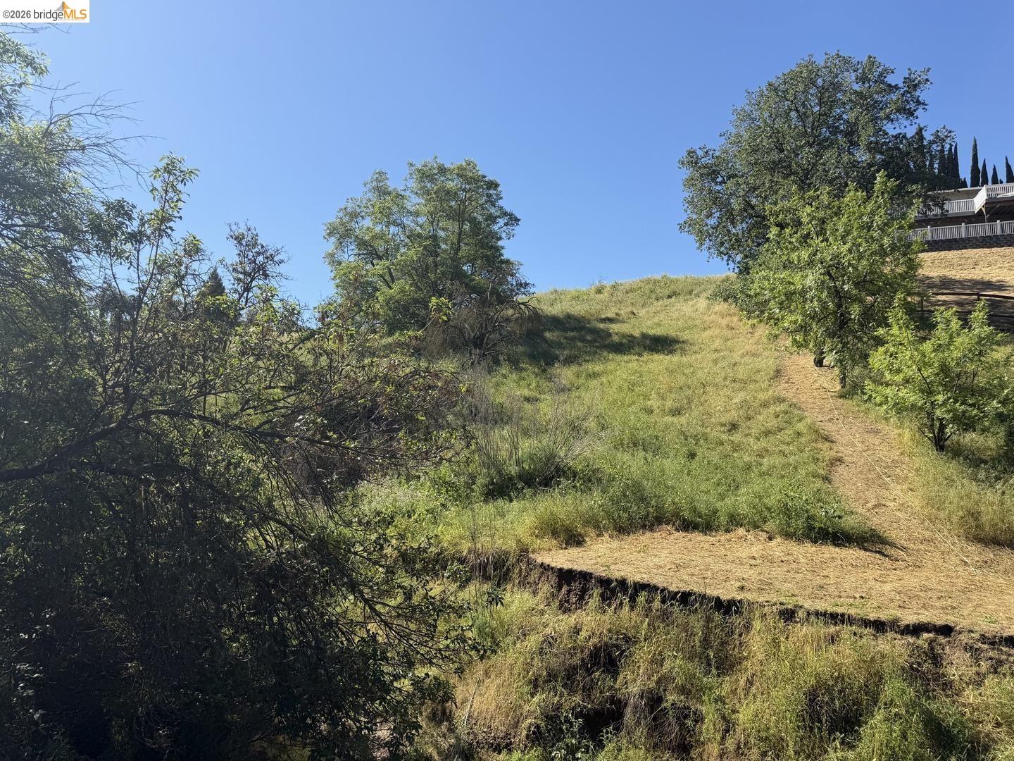 0 Cowell Road Concord, CA 94518 - Photo 8 of 13 view of nature