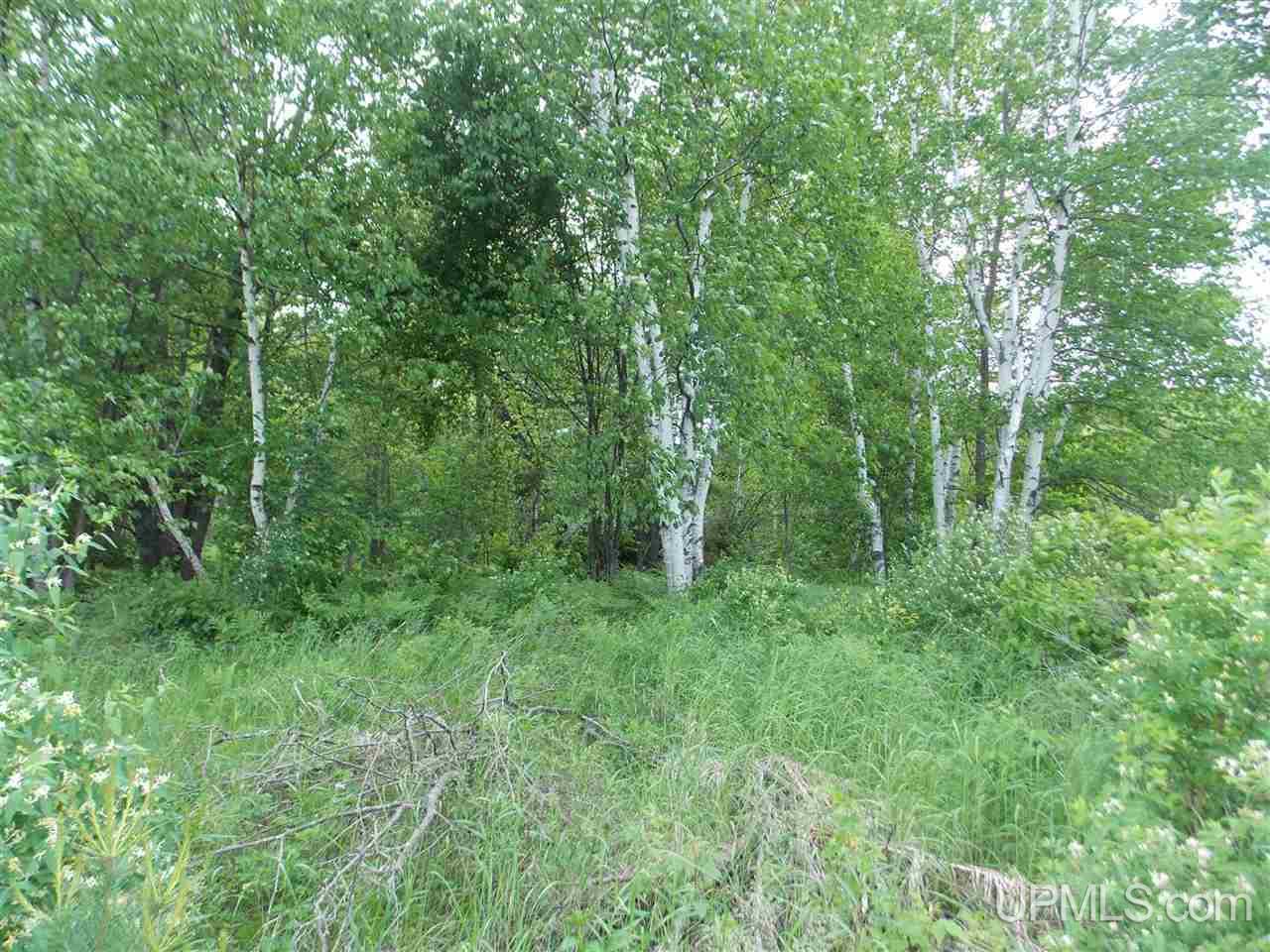 Tbd Jarvis Road Crystal Falls, MI 49920 - Photo 4 of 4