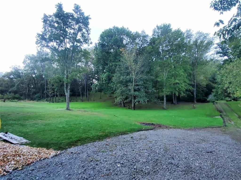 262 Thorne Run Road Export, PA 15632 - Photo 15 of 19 a view of a park with large trees