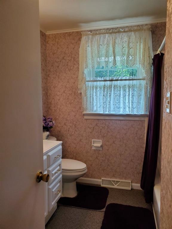 262 Thorne Run Road Export, PA 15632 - Photo 8 of 19 a bathroom with a toilet a sink and a window