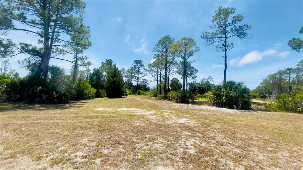 Tbd Southwest 101st Lane Cedar Key, FL 32625 - Photo 1 of 11 a view of a backyard of a house