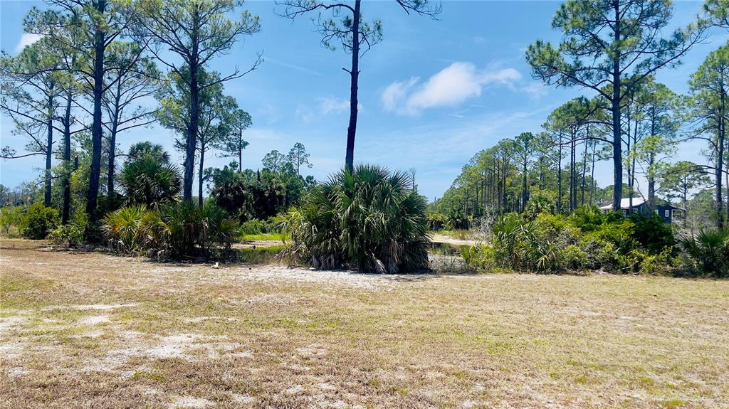 Tbd Southwest 101st Lane Cedar Key, FL 32625 - Photo 11 of 11 a view of a yard with plants and trees
