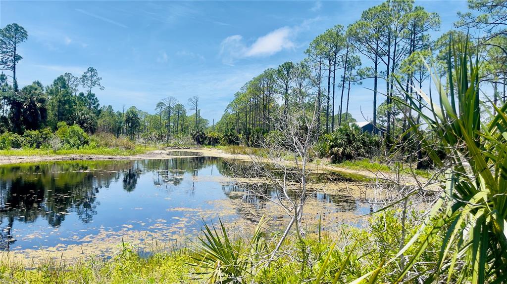 Tbd Southwest 101st Lane Cedar Key, FL 32625 - Photo 2 of 11 a view of swimming pool with a yard