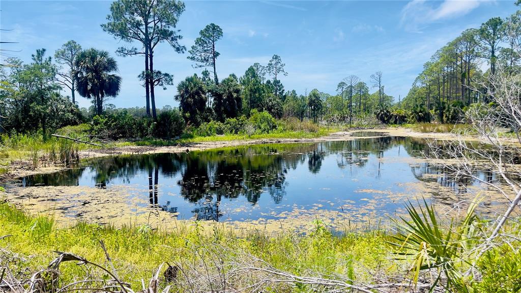 Tbd Southwest 101st Lane Cedar Key, FL 32625 - Photo 3 of 11 a view of a lake with a house in the background