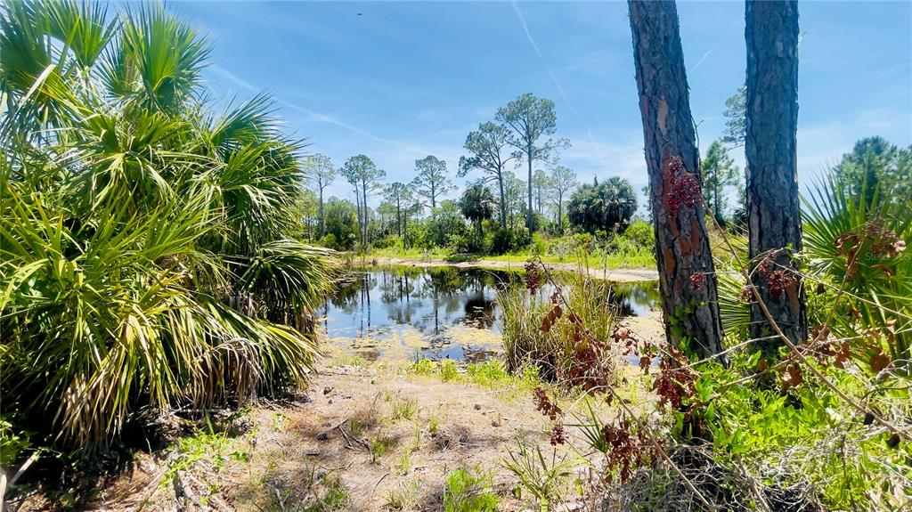 Tbd Southwest 101st Lane Cedar Key, FL 32625 - Photo 6 of 11 a view of a lake