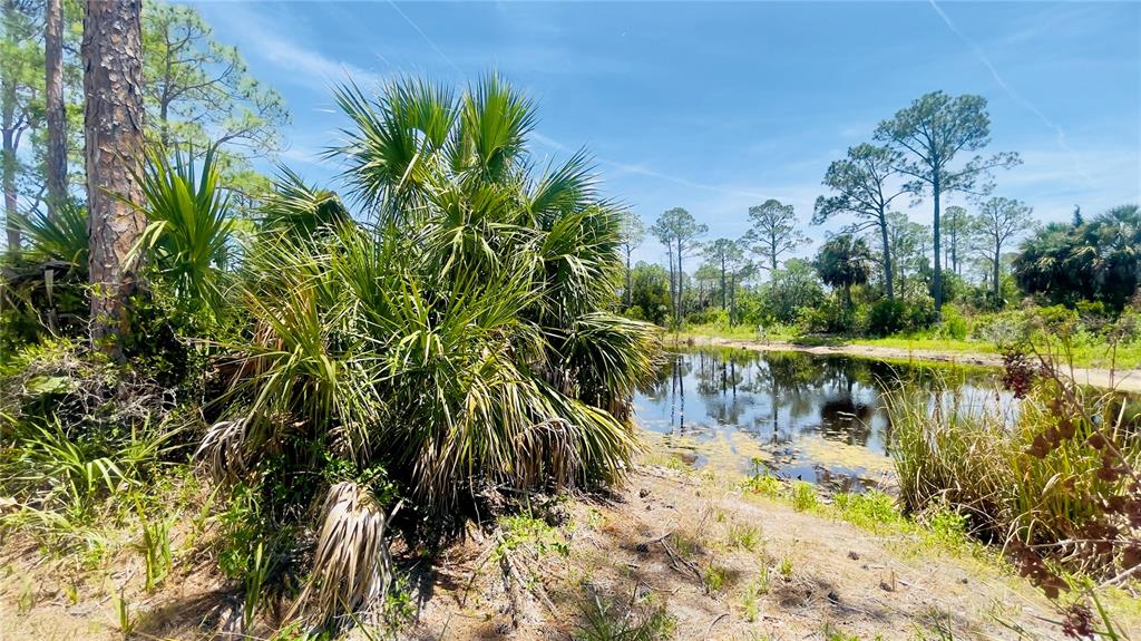 Tbd Southwest 101st Lane Cedar Key, FL 32625 - Photo 7 of 11 a view of a lake with a tree