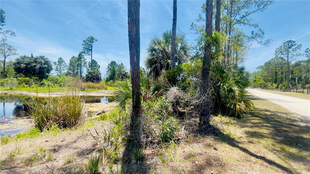 Tbd Southwest 101st Lane Cedar Key, FL 32625 - Photo 9 of 11 a view of a lake with a yard