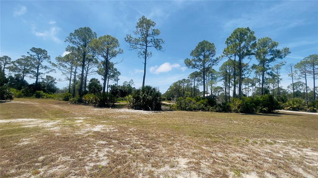 Tbd Southwest 101st Lane Cedar Key, FL 32625 - Photo 10 of 11 a view of a field with a tree