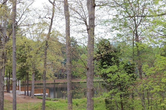 7954 Pleasant Ridge Road Raleigh, NC 27615 - Photo 8 of 20 Pack a picnic and enjoy the Gazebo on the lake Water views!