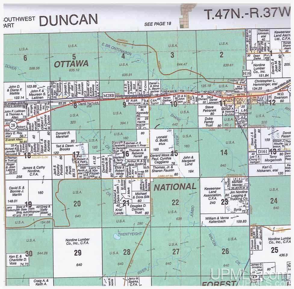 Tbd South County Line Road Watersmeet, MI 49969 - Photo 16 of 16