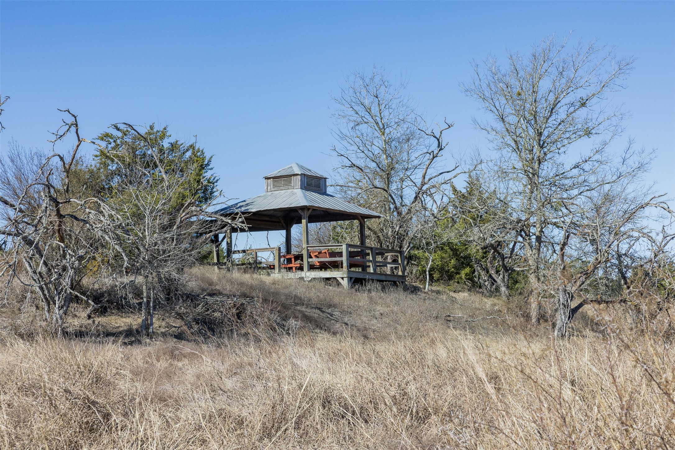 2998 Highway 237 Round Top, TX 78954 - Photo 36 of 43 a view of patio with a table and chairs under an umbrella
