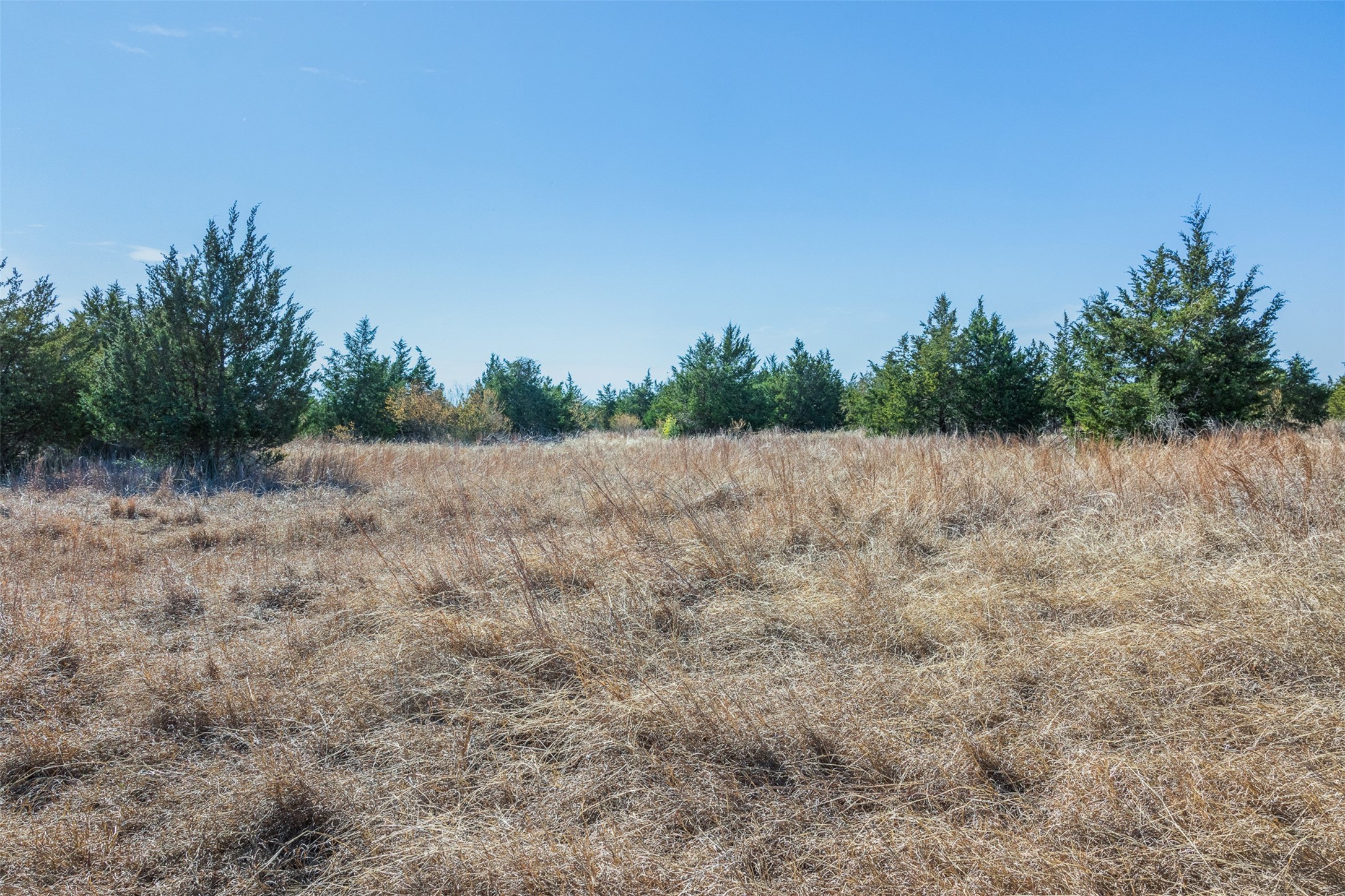 2998 Highway 237 Round Top, TX 78954 - Photo 39 of 43 a view of a field with trees in the background