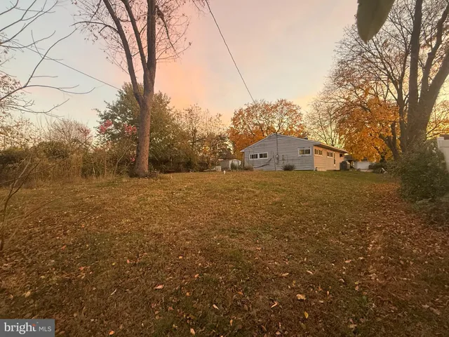 a view of a large tree in front of a house