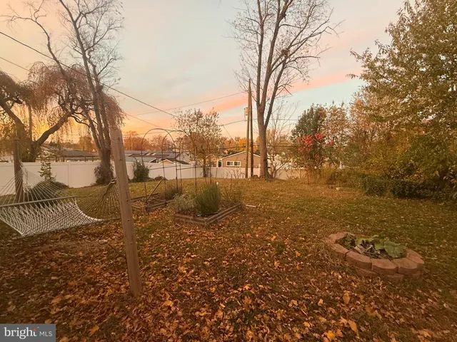 a view of a yard with trees