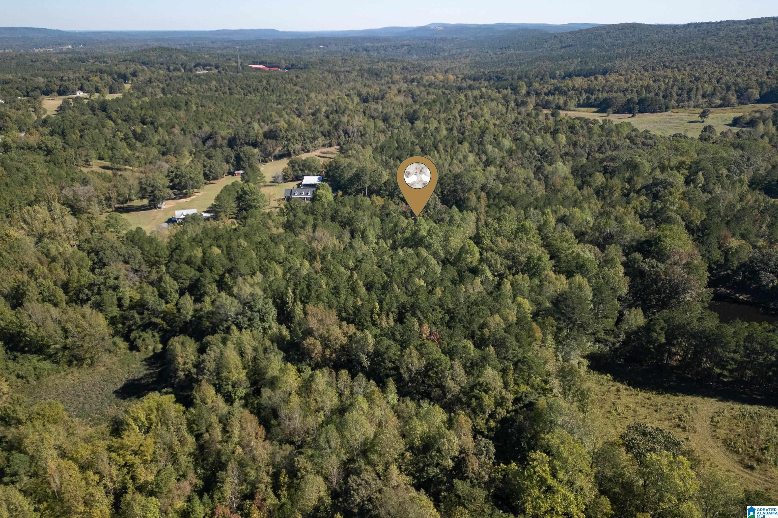 222 Russell Road Hayden, AL 35079 - Photo 38 of 49