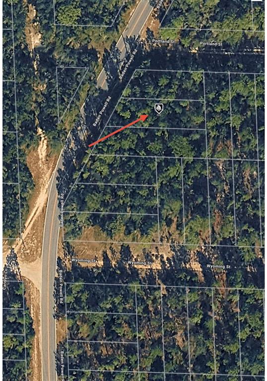 608 Baden Powell Road Hawthorne, FL 32640 - Photo 4 of 9 a view of plant