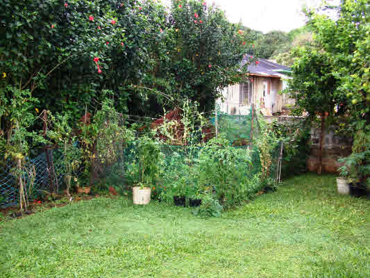 6490 Opaekaa Road Kapaa, HI 96746 - Photo 20 of 23 Gallery Image 20