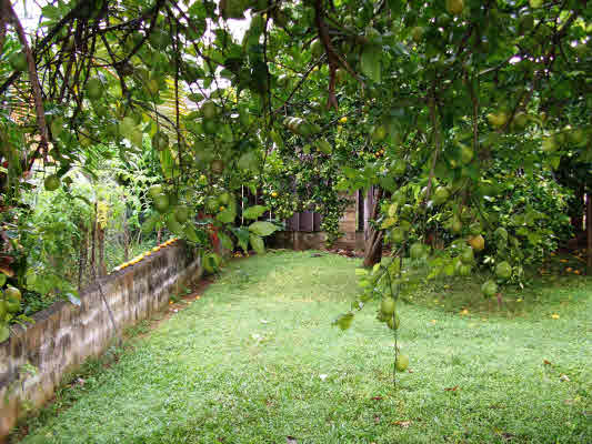 6490 Opaekaa Road Kapaa, HI 96746 - Photo 22 of 23 Gallery Image 22