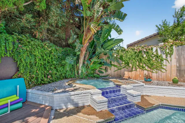 a view of a backyard with plants and palm trees