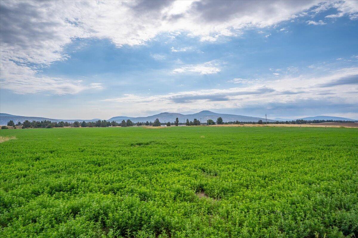 2935 Sheep Mountain Road Macdoel, CA 96058 - Photo 133 of 137 123-Macdoel Hay Ranch1 - E-97
